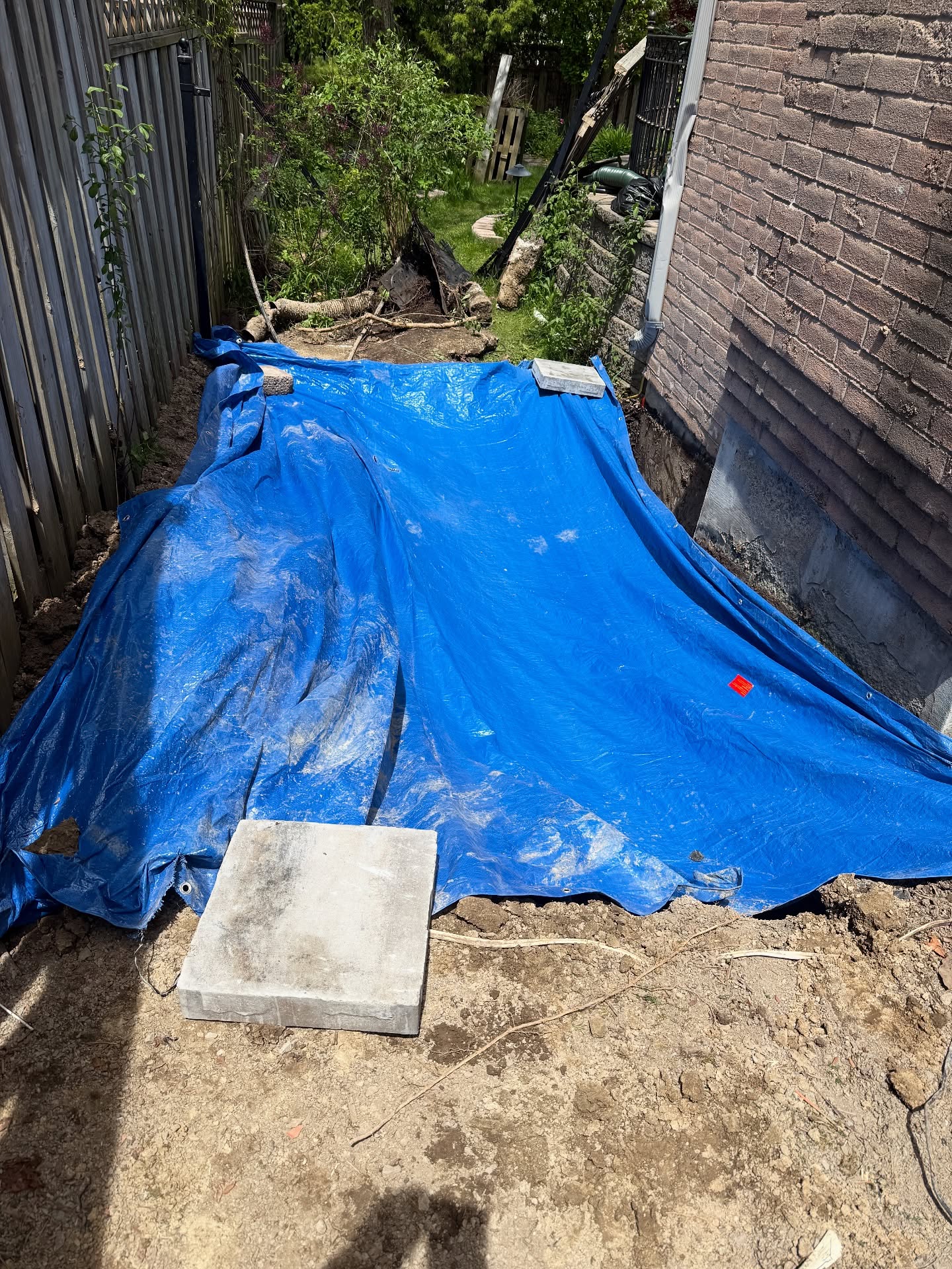 365days.earthworks_1749440265_3650892017719890596_7108612214126